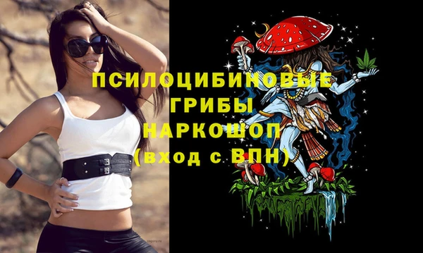 круглые Алзамай