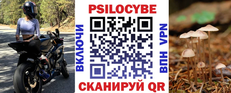 Галлюциногенные грибы мицелий  маркетплейс наркотические препараты  Дудинка 